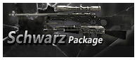 Schwarz in-game character